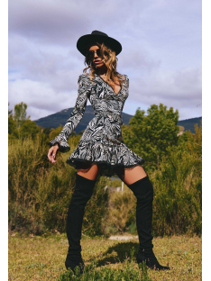 VESTIDO CAMALEONICA SILVA