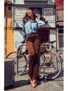 CAMISA CAMALEONICA ESCAPOLITA